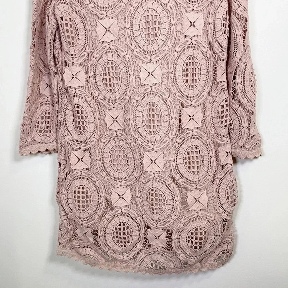 French Connection Lark Rise Crochet Dress  In Dusty Rose Color - Picture 11 of 14